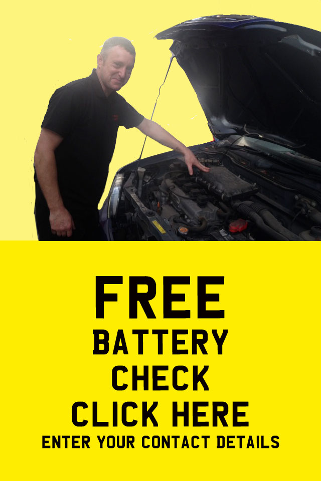 Lenny-Battery-Check-Blonk